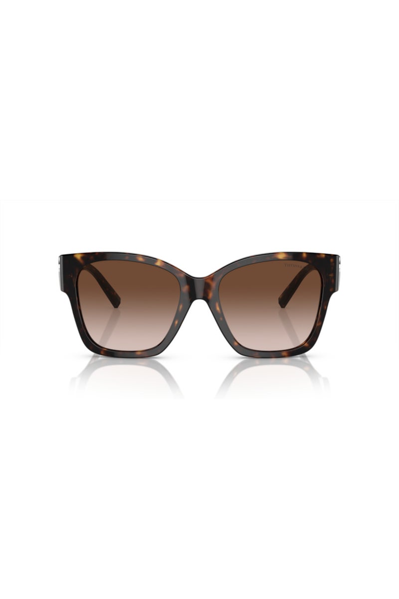Tiffany Square Sunglasses for Women - Havana - Image 4